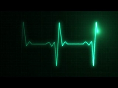 कंपनी का परिचय